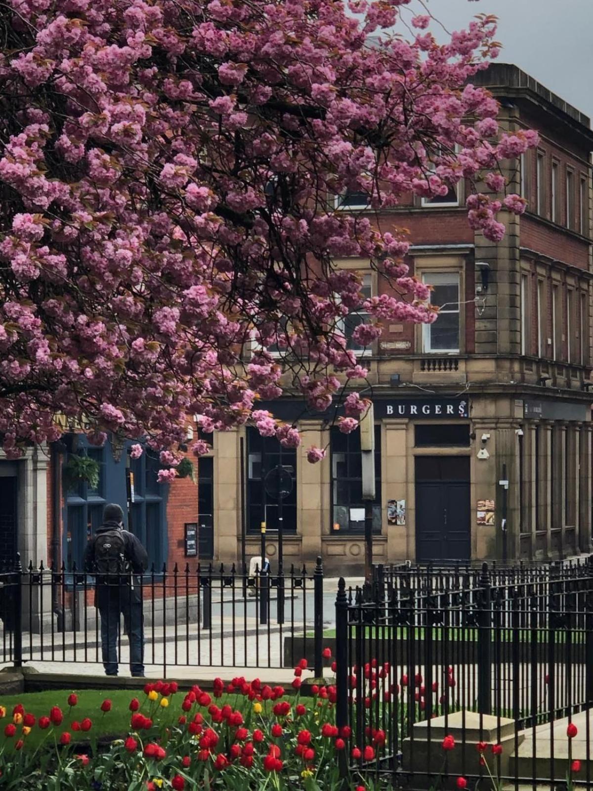 Studio In Bolton Town, Short Stay Studio 2 Εξωτερικό φωτογραφία